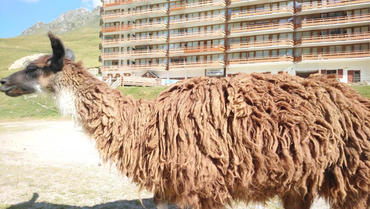 Studio En Pleine Montagne Avec Vue Sur Marmottes 라몽지 외부 사진