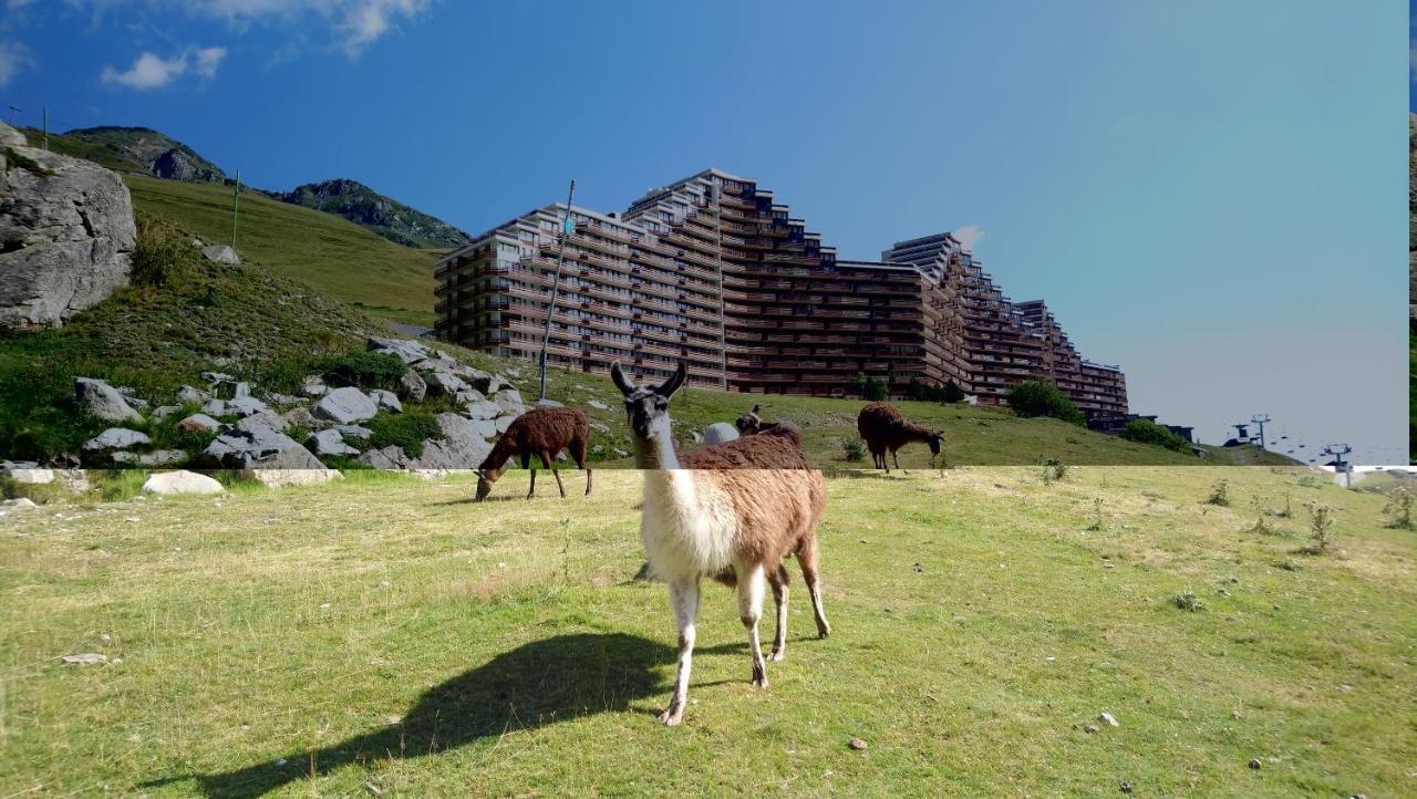 Studio En Pleine Montagne Avec Vue Sur Marmottes 라몽지 외부 사진